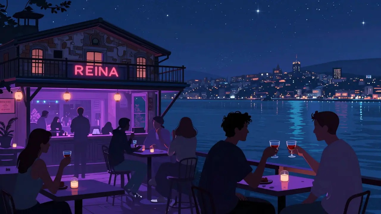 Reina club terrace overlooking the Bosphorus with patrons clinking raki glasses under techno lights.