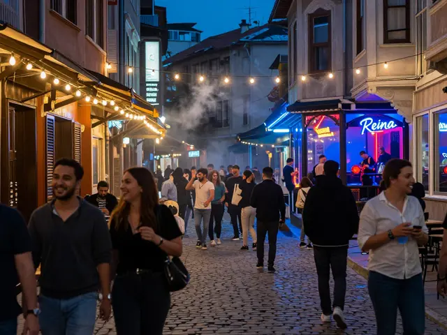 The Best of Istanbul's Nightlife: A Guide for Every Partygoer